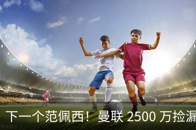 下一个范佩西！曼联 2500 万捡漏顶级锋霸，碾压 7000 万新援