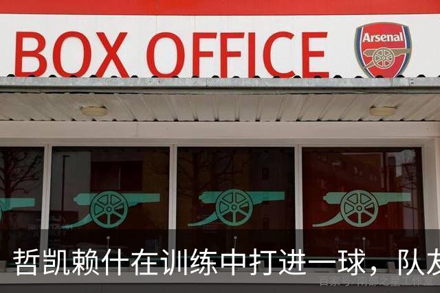 哲凯赖什在训练中打进一球，队友们看到后抱头惊呼