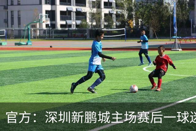 官方：深圳新鹏城主场赛后一球迷从看台跳入场内，深圳赛区被警告