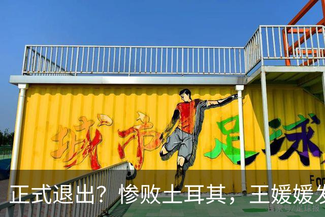 正式退出？惨败土耳其，王媛媛发声沮丧，官宣决定，赵勇看懂
