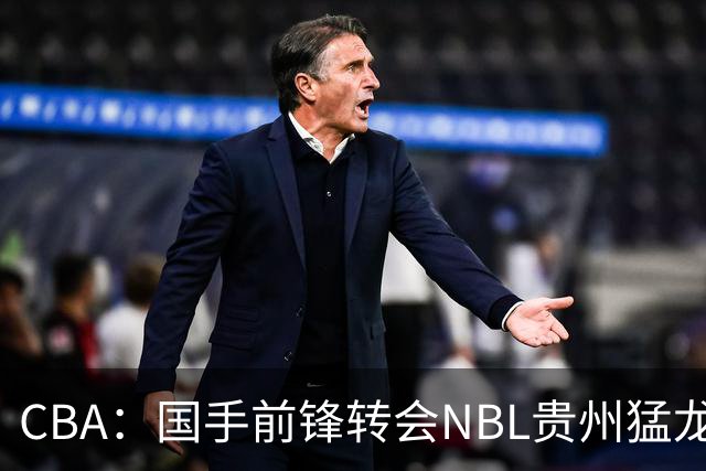 CBA：国手前锋转会NBL贵州猛龙，王少杰前往江苏男篮，吉林大将签约宁波，胡金秋预计留队